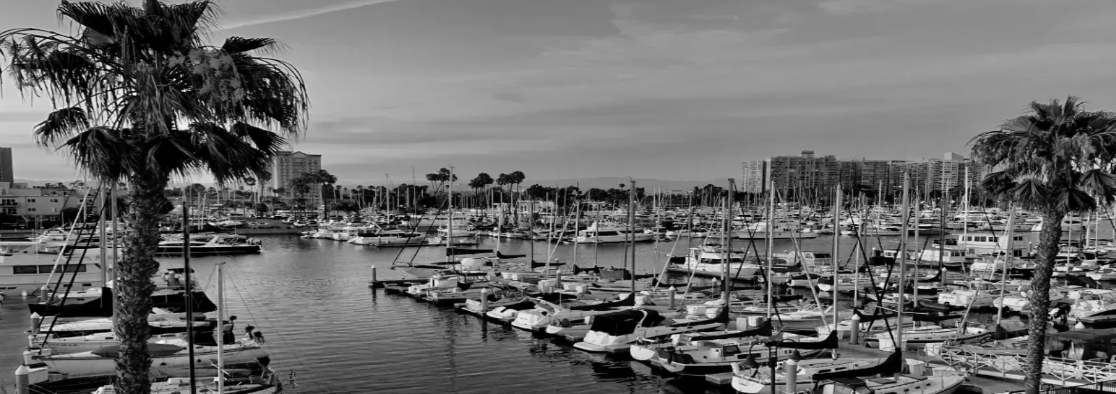 Marina del rey, United States